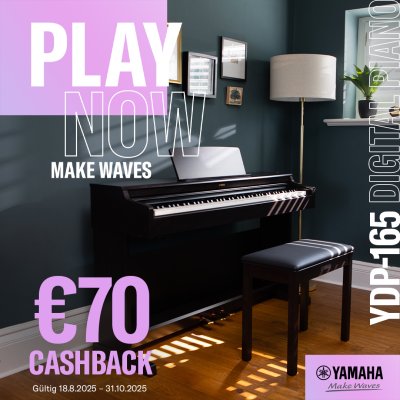 YAMAHA Arius YDP 165 B schwarz matt